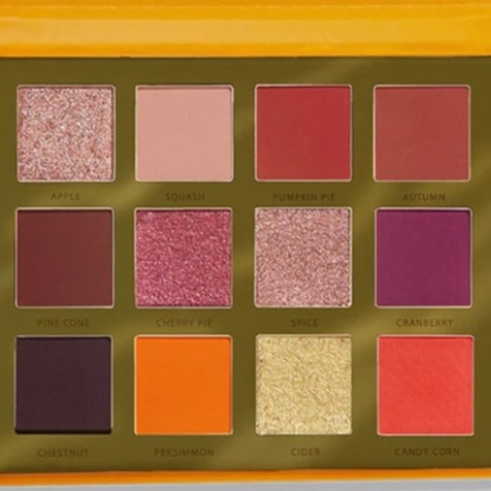 Ace Beauté Falling For You Palette NIB Limited Edition